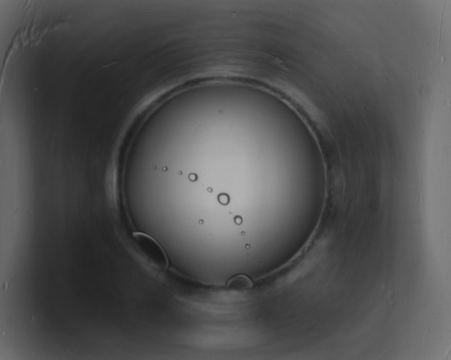 X0000101670982200807101356