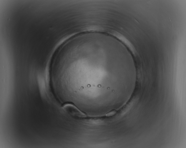 X0000101670983200807101356