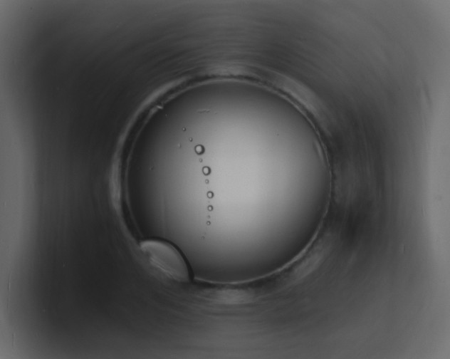 X0000101670984200807101356