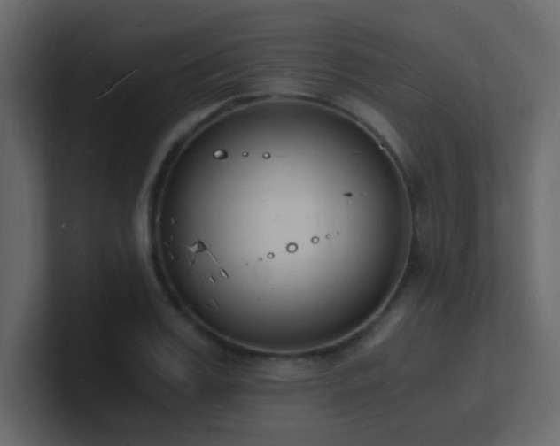X0000101670987200807101356