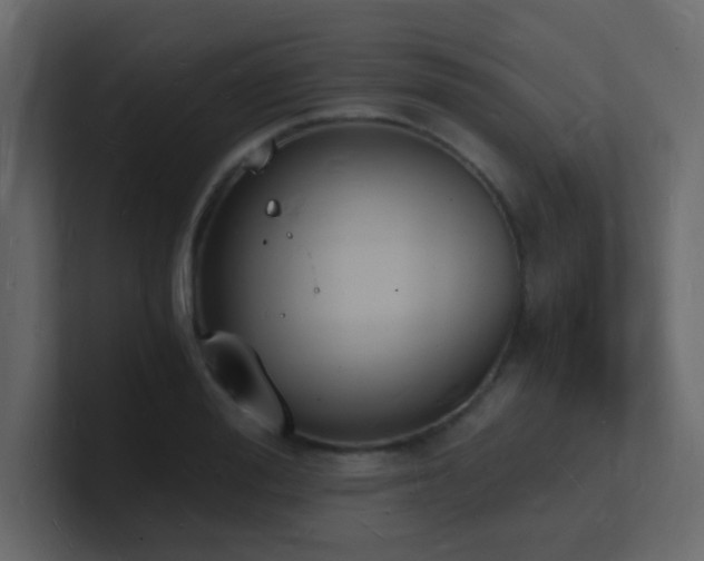 X0000101670988200807101356