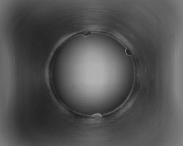 X0000101670989200807101356