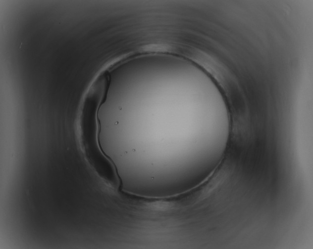 X0000101670992200807101356