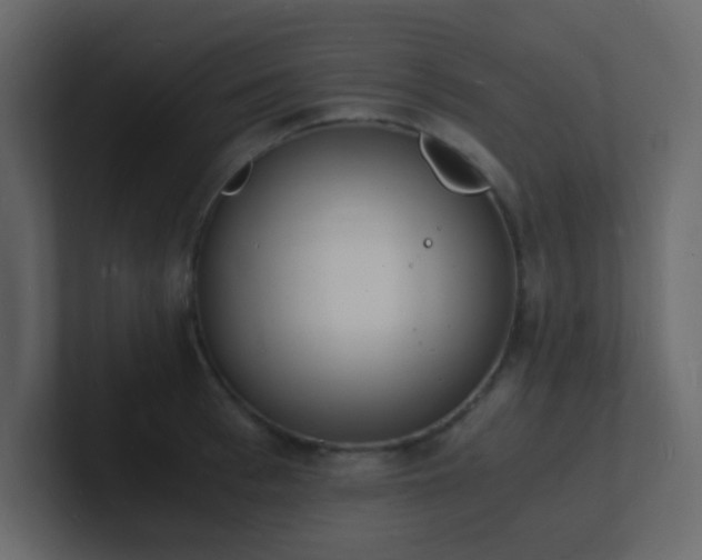 X0000101670993200807101356