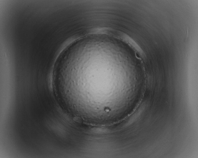 X0000101670994200807101356