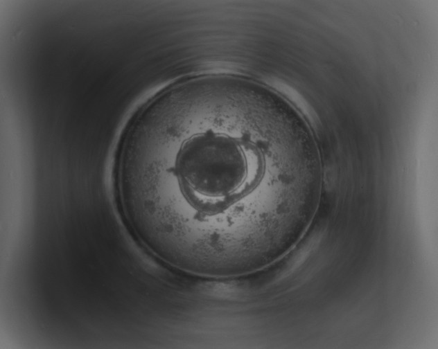 X0000101670995200807101356