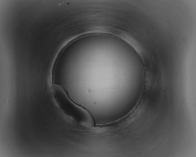 X0000101670996200807101356