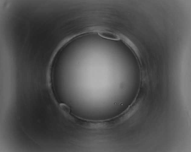 X0000101670997200807101356