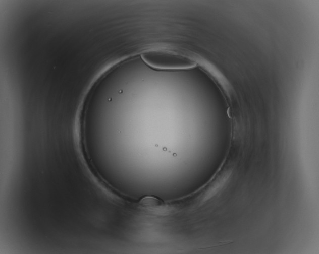 X0000101670999200807101356