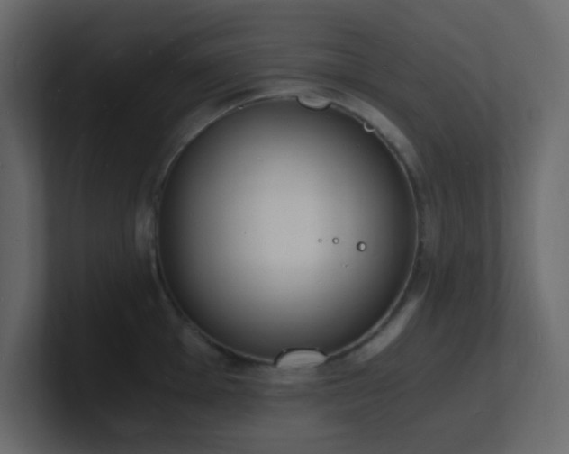 X0000101671001200807101356