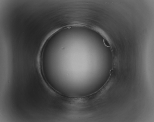 X0000101671003200807101356