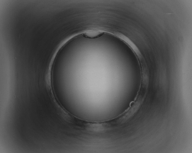 X0000101671004200807101356