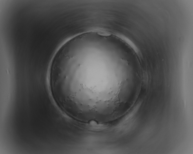 X0000101671007200807101356