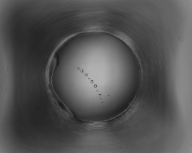 X0000101671008200807101356