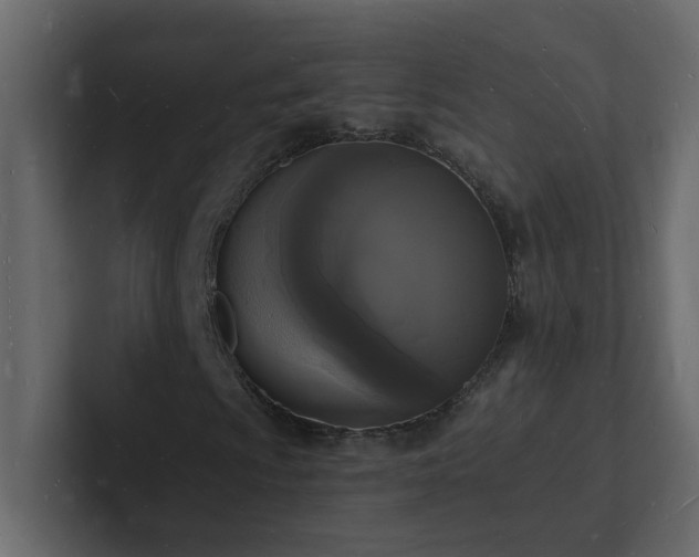 X0000101671009200807101355