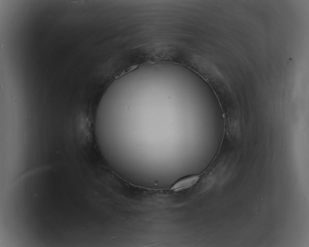 X0000101671010200807101355