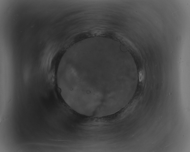 X0000101671011200807101355