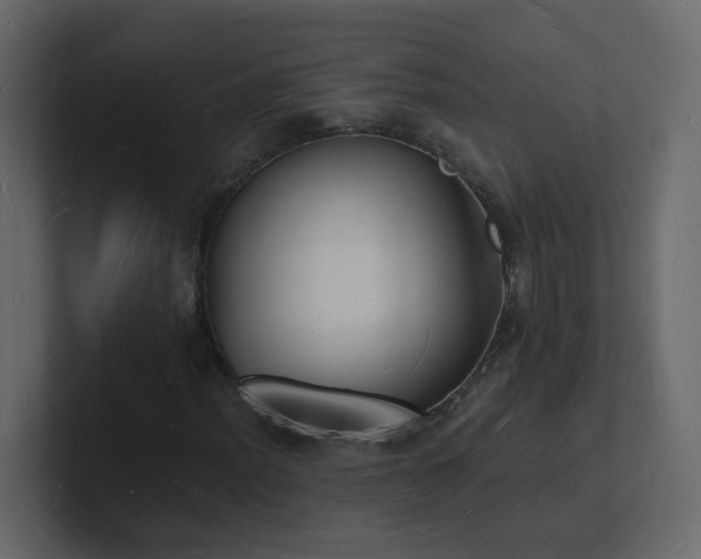 X0000101671012200807101355