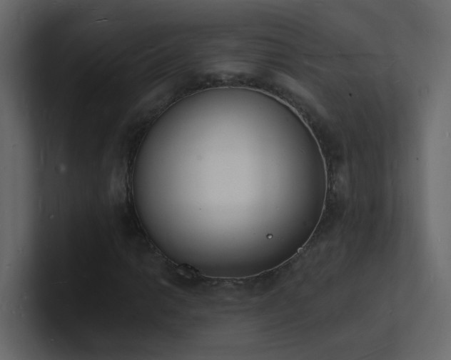 X0000101671014200807101355