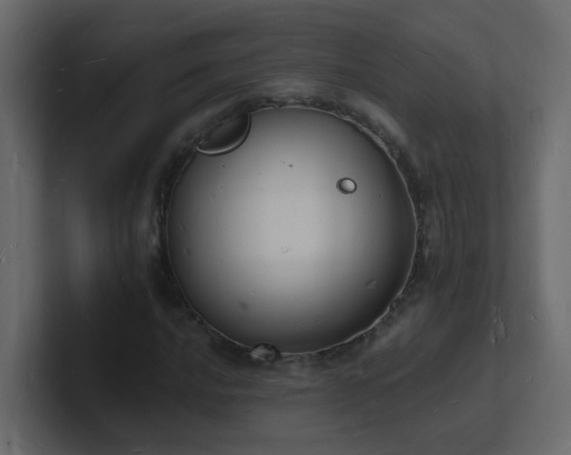 X0000101671016200807101355