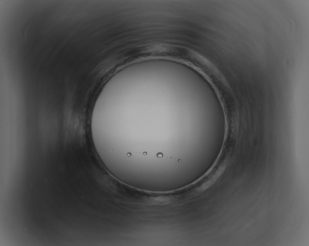 X0000101671017200807101355