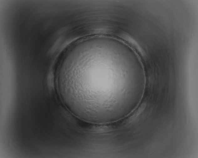 X0000101671019200807101355