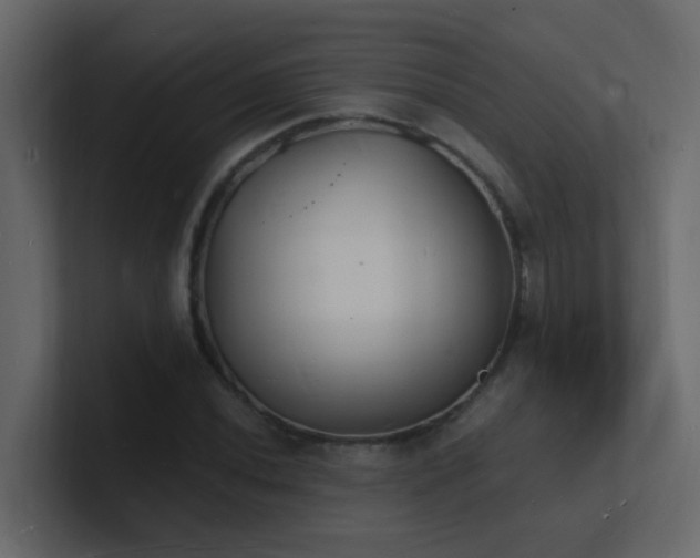 X0000101671020200807101355