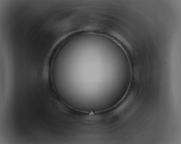 X0000101671021200807101355