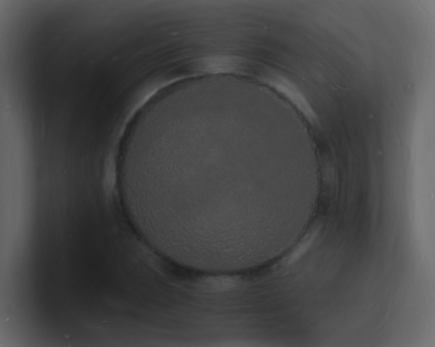 X0000101671023200807101355