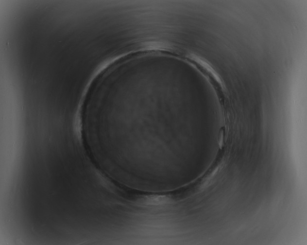 X0000101671024200807101355