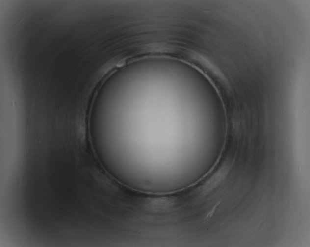 X0000101671025200807101355