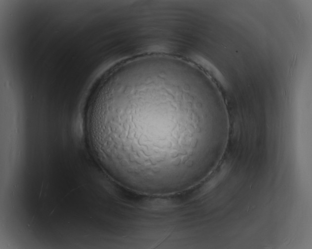 X0000101671027200807101355