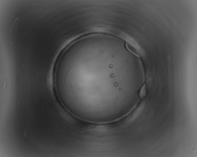 X0000101671028200807101356