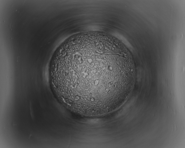 X0000101671031200807101356