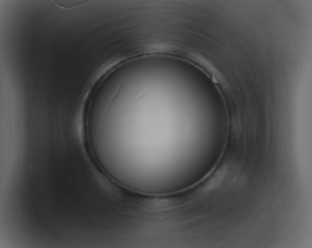 X0000101671034200807101356