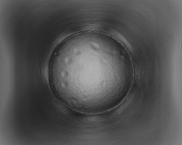 X0000101671035200807101356