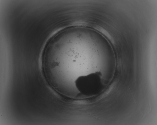 X0000101671037200807101356