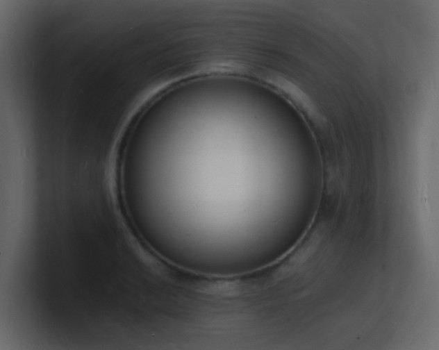 X0000101671038200807101356