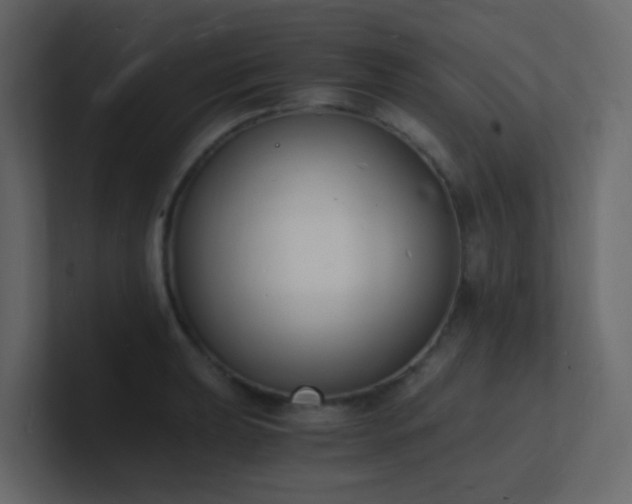 X0000101671039200807101356