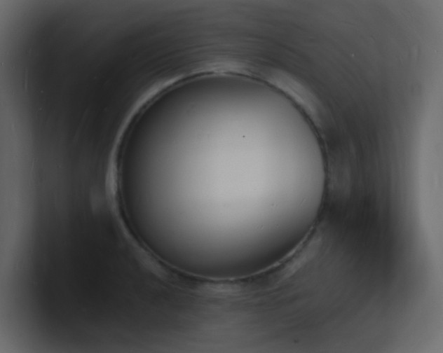 X0000101671040200807101356