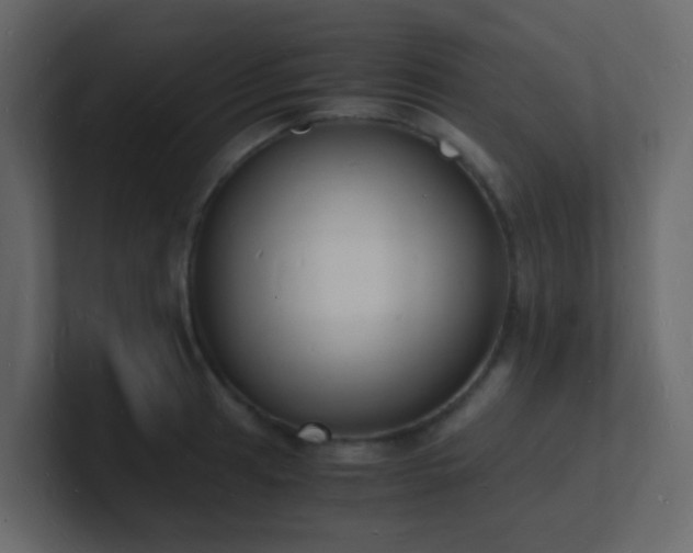 X0000101671041200807101356
