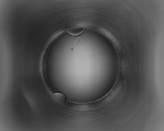 X0000101671042200807101356