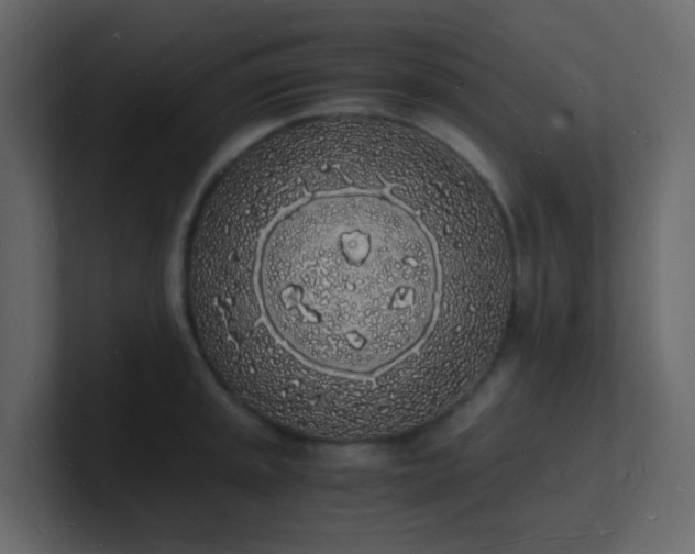 X0000101671045200807101356