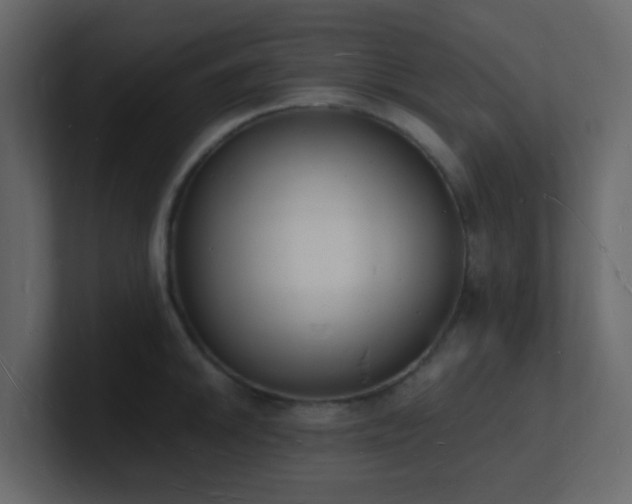 X0000101671046200807101356