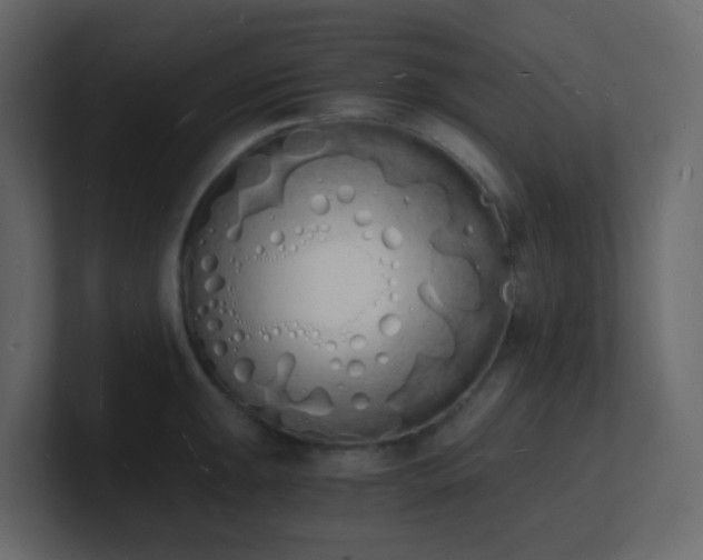 X0000101671047200807101356