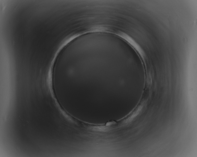 X0000101671053200807101356