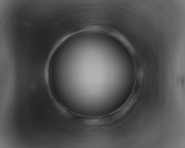X0000101671054200807101356