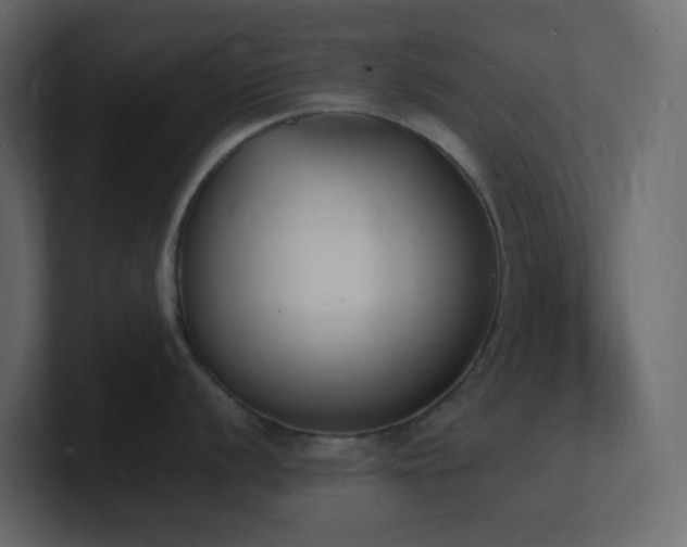 X0000101671056200807101356
