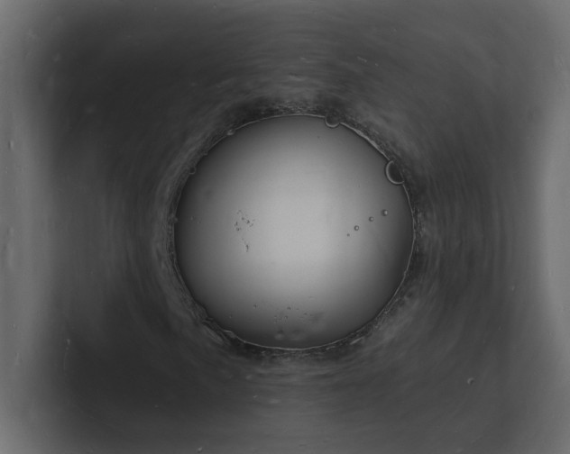 X0000101671057200807101355