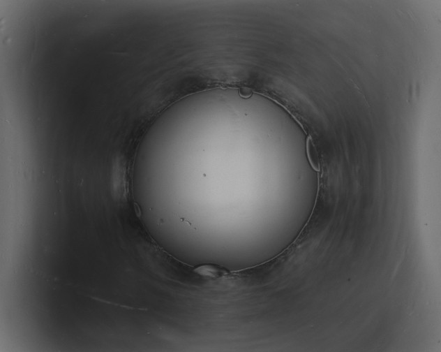 X0000101671058200807101355